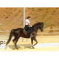 Horseback Riding Intermediate