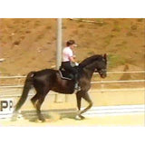 Horseback Riding Intermediate