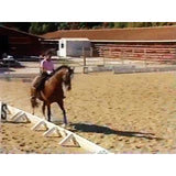 Horseback Riding Intermediate (Download)