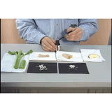 Kid Science: Biology Experiments