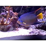 Travel to the Caribbean