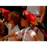 Travel to Florida (Download)