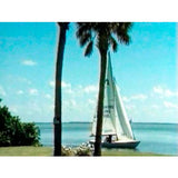 Travel to Florida (Download)