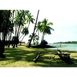 Travel to Hawaii (Download)