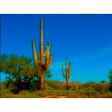 Travel to the USA (Download)