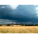 Storm Vistas Ambient Screensavers