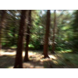 Ultimate Ride - Ambient Screensavers