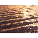 WaterScapes Ambient Screensavers