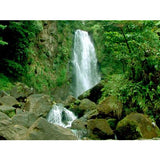Waterfall Vistas Ambient Screensavers