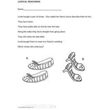 Problem Solving Strategies (Gr. 2-3) - PDF DOWNLOAD