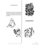 US Geography - Great Lakes Region (Gr. 2-3) - PDF DOWNLOAD