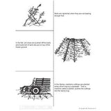 US Geography - Great Lakes Region (Gr. 2-3) - PDF DOWNLOAD
