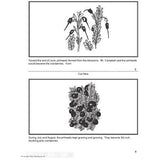 US Geography - Great Lakes Region (Gr. 2-3) - PDF DOWNLOAD