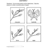 Sequencing - Reading Strategies (Gr. K-2) - PDF DOWNLOAD