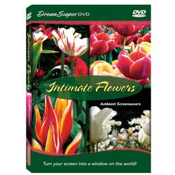 Intimate Flowers Ambient Screensavers