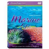 Marine Life Ambient Screensavers